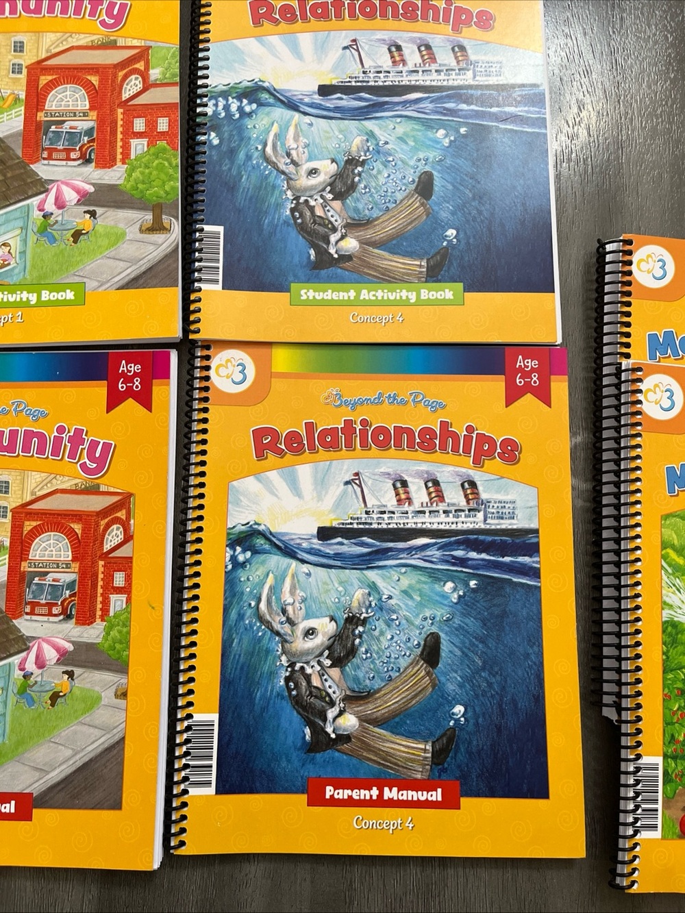 Moving Beyond The Page Homeschooling Curriculum (Set of 4) - Picture 6 of 8